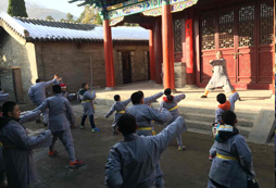 少林武術(shù)夏令營提升學(xué)生防身自衛(wèi)能力