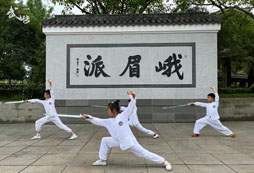 孩子參加武術(shù)夏令營有哪些收獲