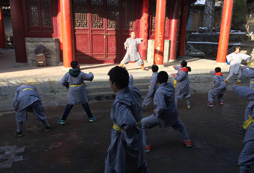 參加武術(shù)夏令營如何考量夏令營的品質(zhì)？