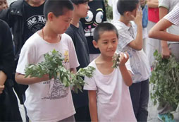 青少年武術(shù)夏令營去哪報名，各地活動一覽