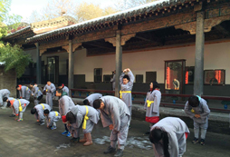 參加河南武術(shù)夏令營(yíng)體會(huì)真真正正的功夫