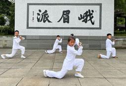 孩子參加武術(shù)夏令營的好處有哪些