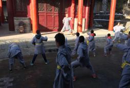 武術(shù)夏令營讓孩子從動、靜之中體悟人生