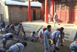 有七天的武術(shù)夏令營(yíng)嗎？