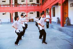 武術(shù)是青少年身體素質(zhì)提升的重要活動