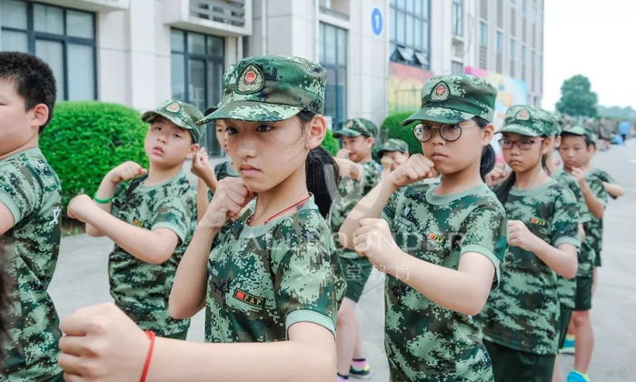 鏗鏘玫瑰