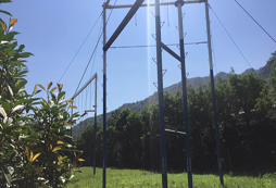 西安軍事夏令營讓孩子樹立正確的人生觀