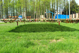 西點(diǎn)拓展夏令營(yíng)營(yíng)區(qū)項(xiàng)目