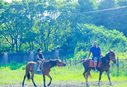 挑戰(zhàn)騎馬運(yùn)動(dòng)