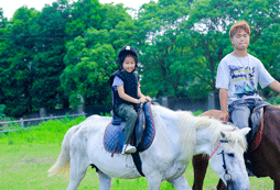教學(xué)騎馬