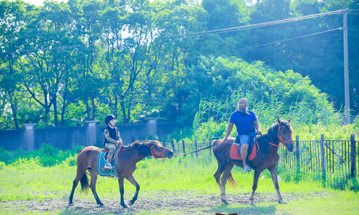 挑戰(zhàn)騎馬運動
