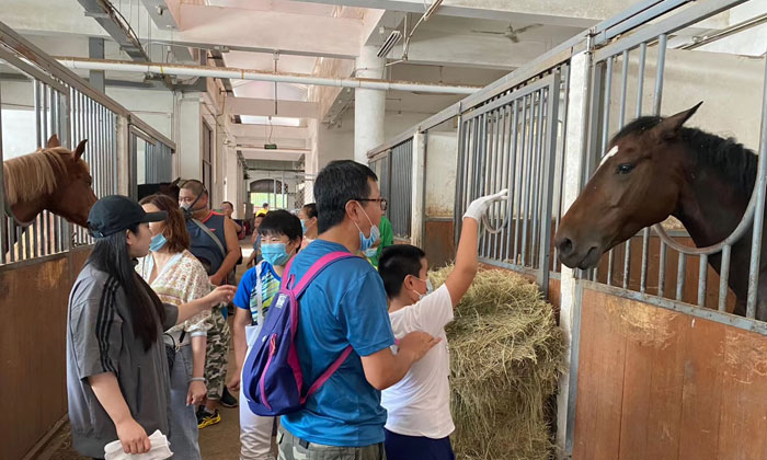 父母協(xié)同參觀馬場