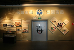 小海豚夏令營安全模擬