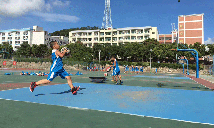 廈門有哪些夏令營