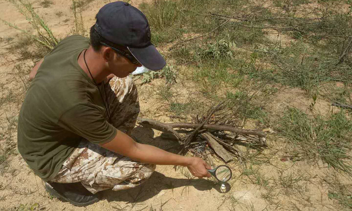 廈門夏令營哪家比較好