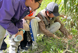 西安小學(xué)生夏令營有哪些，口碑機構(gòu)推薦