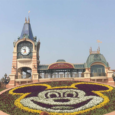 暑期研學(xué)帶你玩轉(zhuǎn)香港