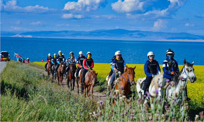 小學(xué)生夏令營有哪些