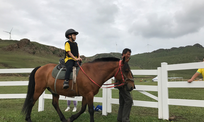 小學(xué)生夏令營有哪些