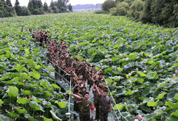 小學(xué)生軍事夏令營培養(yǎng)孩子獨立能力