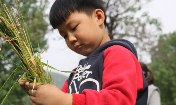 小學(xué)生夏令營(yíng).jpg