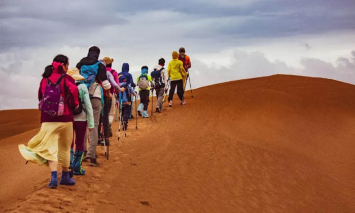 西北夏令營(yíng)課程