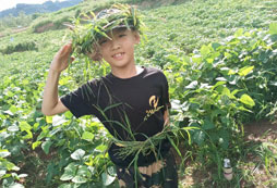 西昌軍事夏令營報名費用是多少