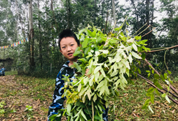 西南靠譜的夏令營機構(gòu)有哪些