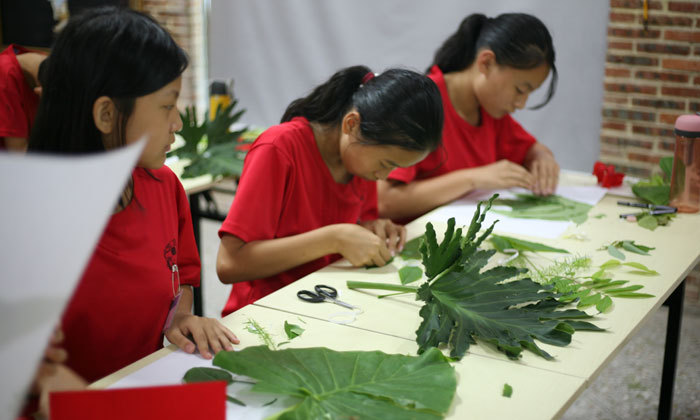 西南小學生夏令營去哪里好