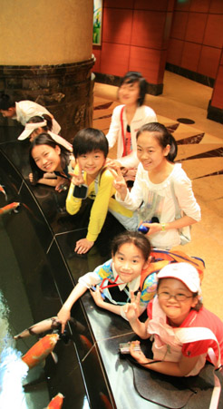 一起感受多元文化與花園城市的魅力