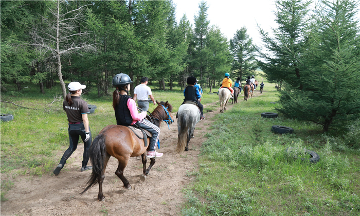 邢臺青少年夏令營有哪些