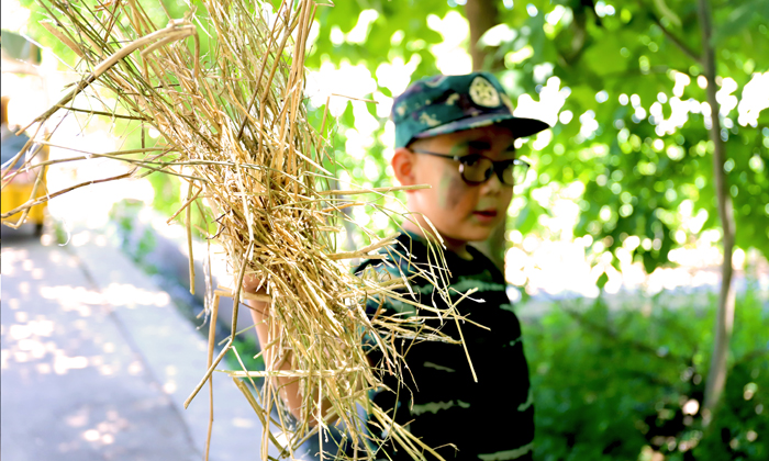 勞動(dòng)的果實(shí)