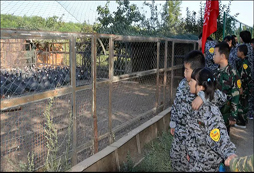 參加新疆軍事夏令營(yíng)讓孩子成為生活中的佼佼者！