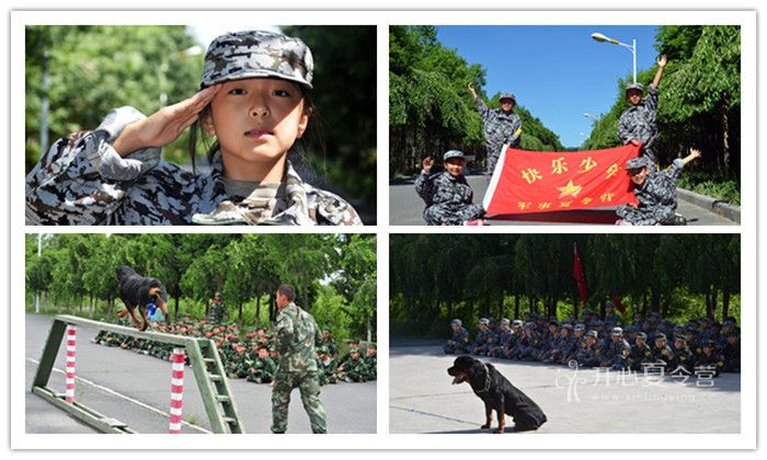 2017新疆軍事夏令營