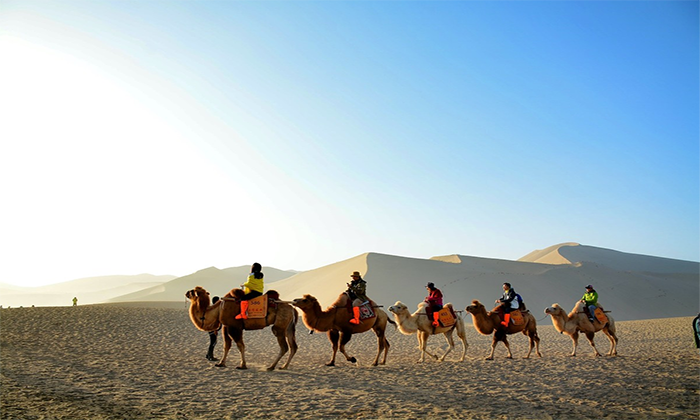 新疆有哪些夏令營(yíng)