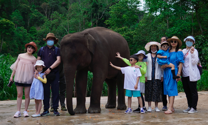 新疆心智夏令營(yíng)有哪些
