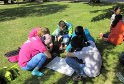 新西蘭奧克蘭2周加入趣味實踐活動