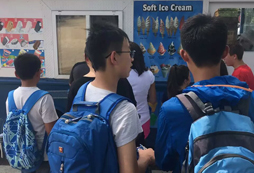 新西蘭游學(xué)的費用貴不貴？