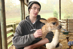 17天的新西蘭游學(xué)適合多大的孩子