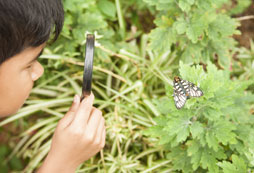 值得報(bào)名的心智夏令營有哪些