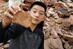 心智夏令營教您提高孩子情商