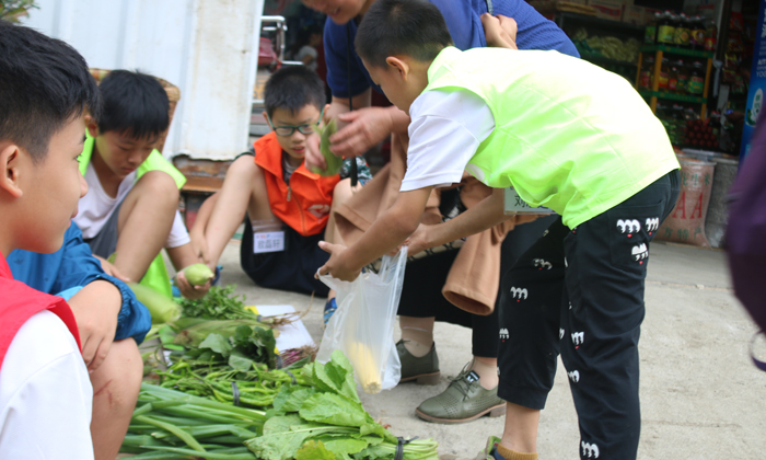 中學(xué)生心智夏令營有什么好處