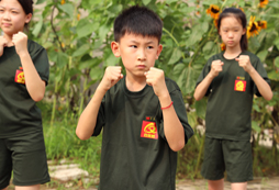 軍體拳