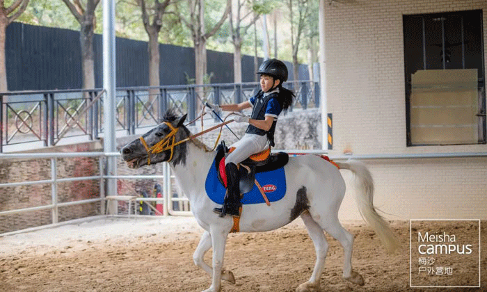 學(xué)能夏令營去哪好