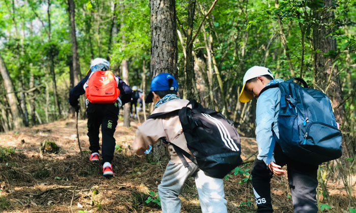 國內(nèi)有哪些學能夏令營