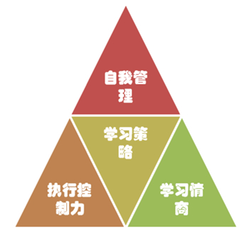 3+1訓(xùn)練營