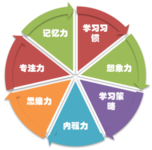 3+1訓(xùn)練營