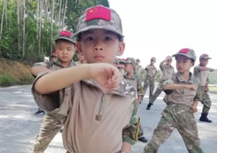 軍體拳