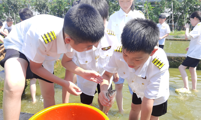 捉到魚了