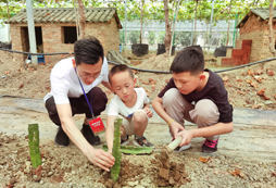 種植火龍果